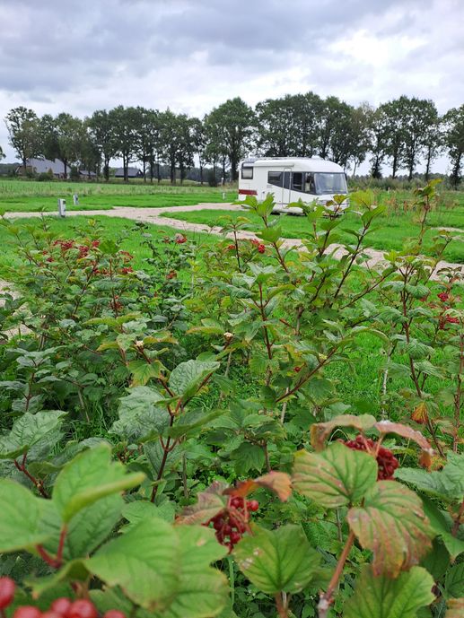 Camperplaats Ploen