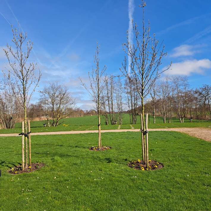 Camperplaats It Wâldhoekje