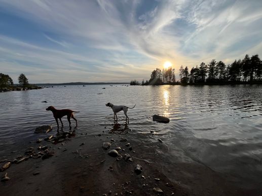 Een foto toegevoegd aan een locatie