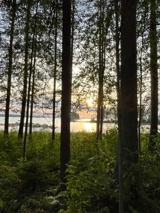 Een foto toegevoegd aan een locatie
