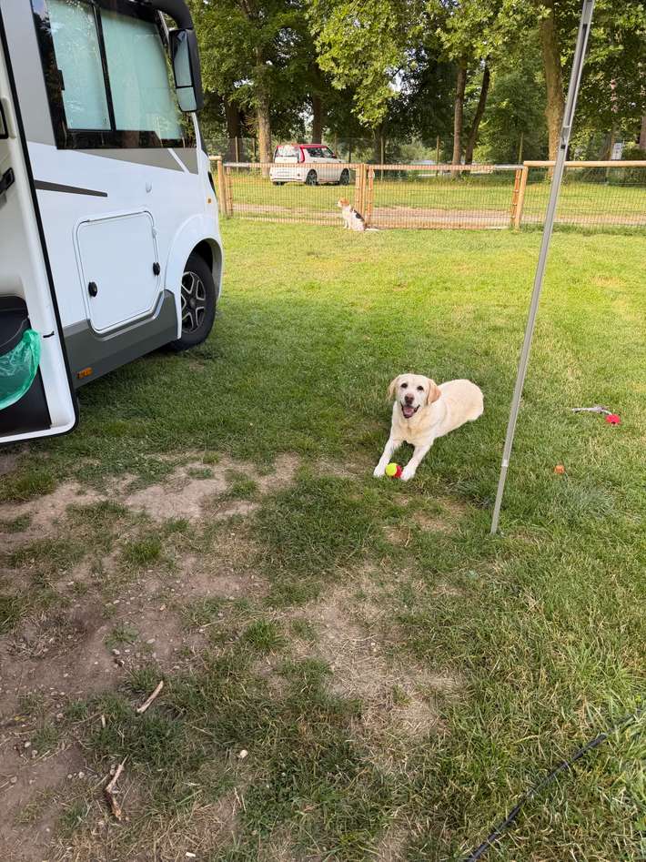 Azur Waldcamping am Auwaldsee