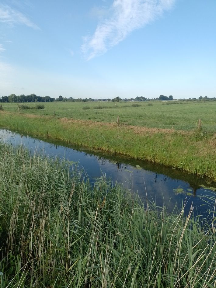 Natuurboerderij Villa Bakhuis