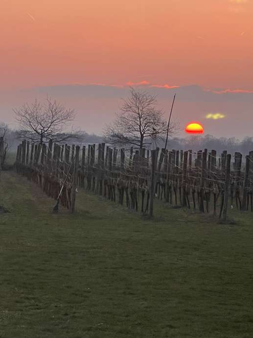 Einem Ort wurde ein Foto hinzugefügt