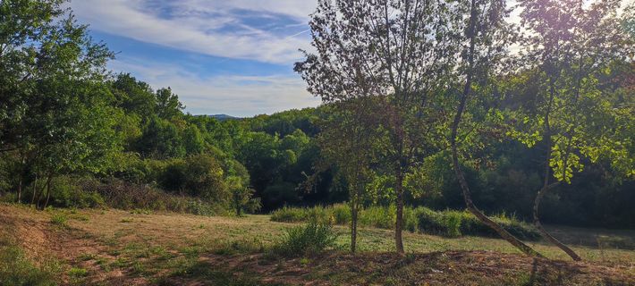 Le Saulet mini-camping naturiste