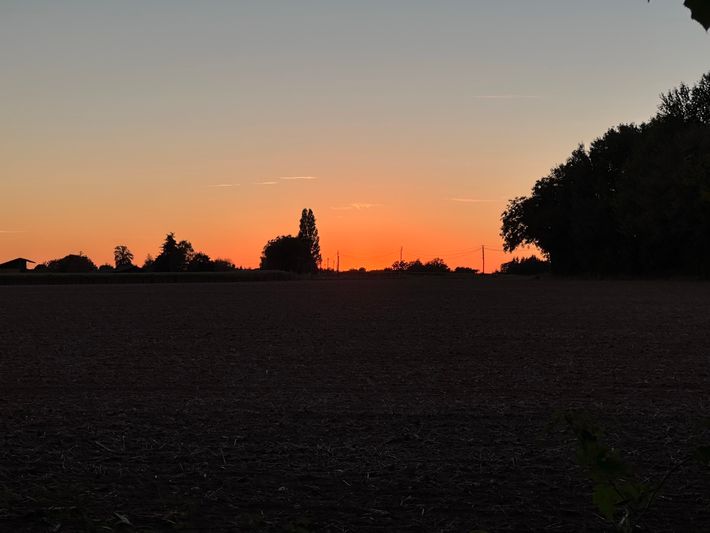 Camping & Gites La Forêt de Tessé