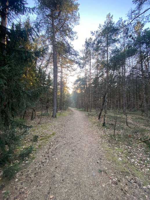 Einem Ort wurde ein Foto hinzugefügt