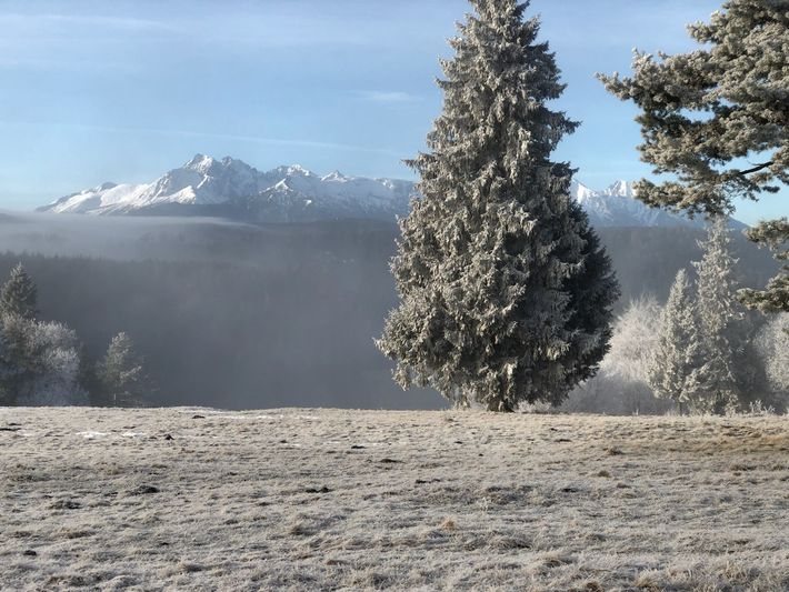 The 2-National-Parks Panorama Meadow