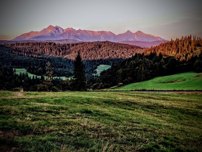 The 2-National-Parks Panorama Meadow
