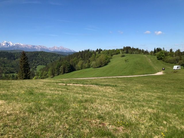 The 2-National-Parks Panorama Meadow