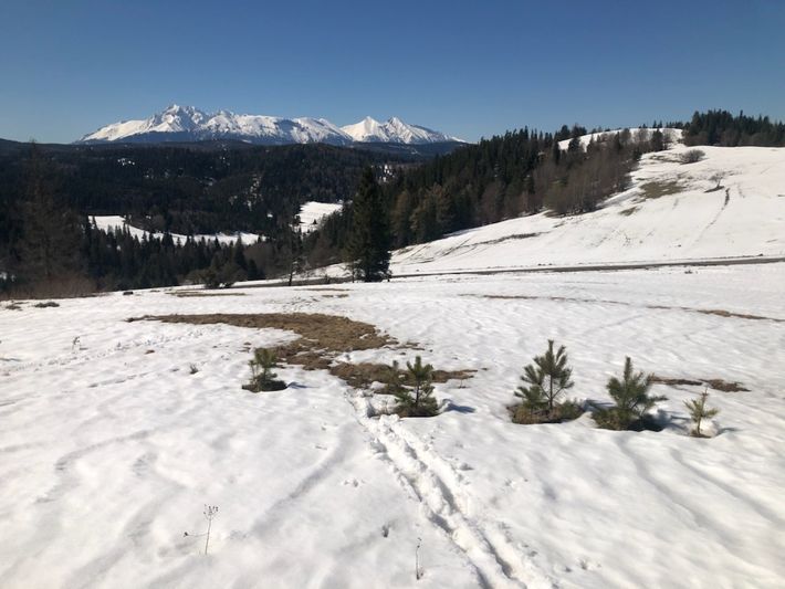 The 2-National-Parks Panorama Meadow