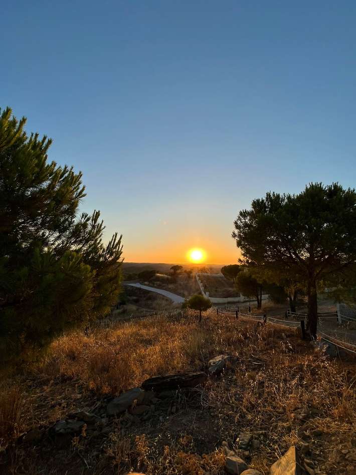 Shamwari Hilltop Retreat - Camping Park