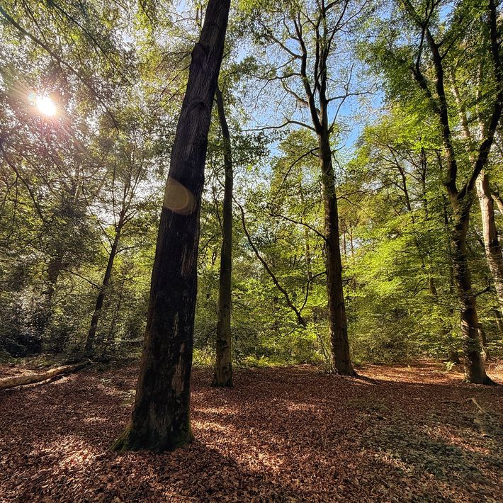 Camperplaats De Boonk