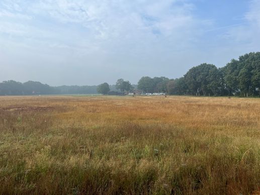 Een foto toegevoegd aan een locatie
