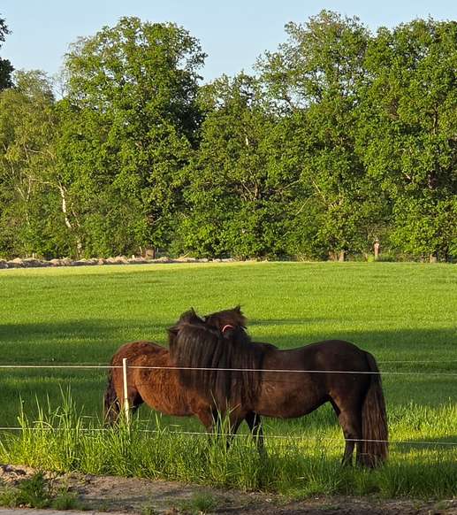 Een foto toegevoegd aan een locatie