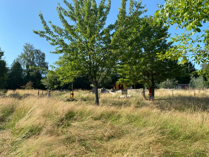 Camping Am Mühlenteich