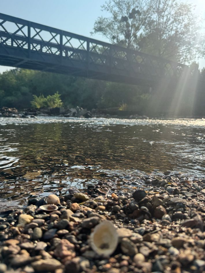 Camping Verte Rive