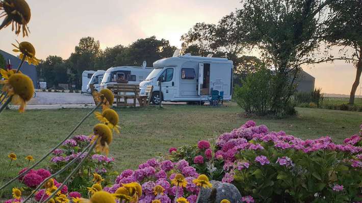 Camperplaats De Tulpentuin