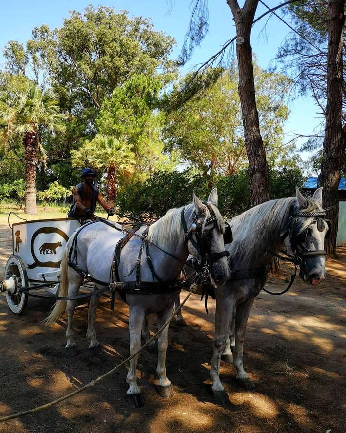 Village Camping Fico d'India