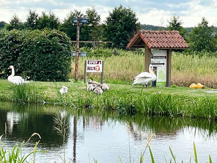 Camping de Nachtzwaluw 