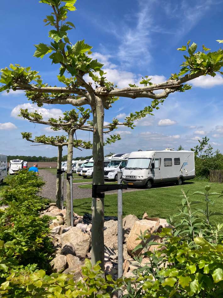 Camperplaats Weldadig Willemsoord