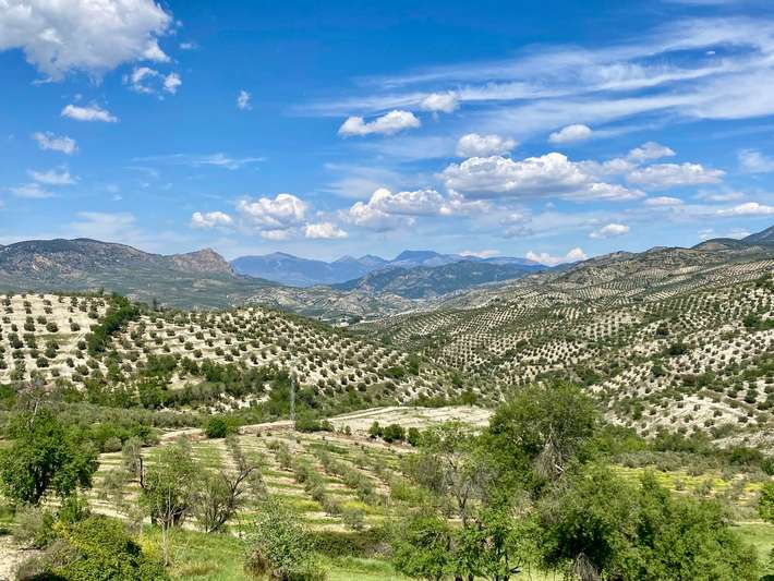 Los cortijos de Noalejo
