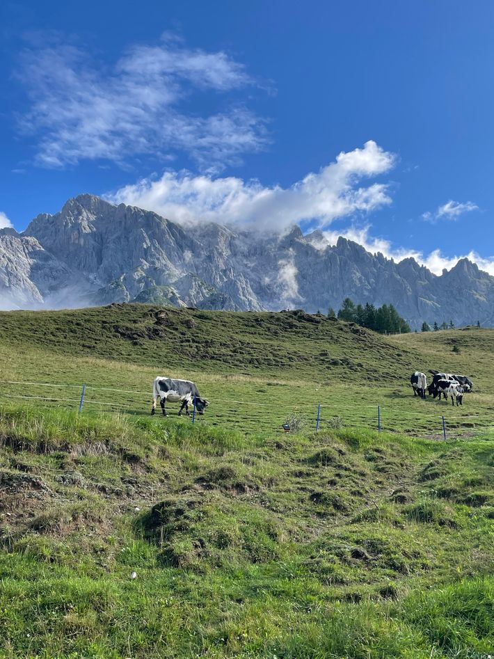 Rohrmoosgut