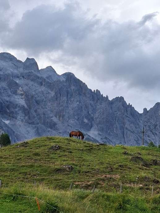 Aggiunta una foto a una posizione