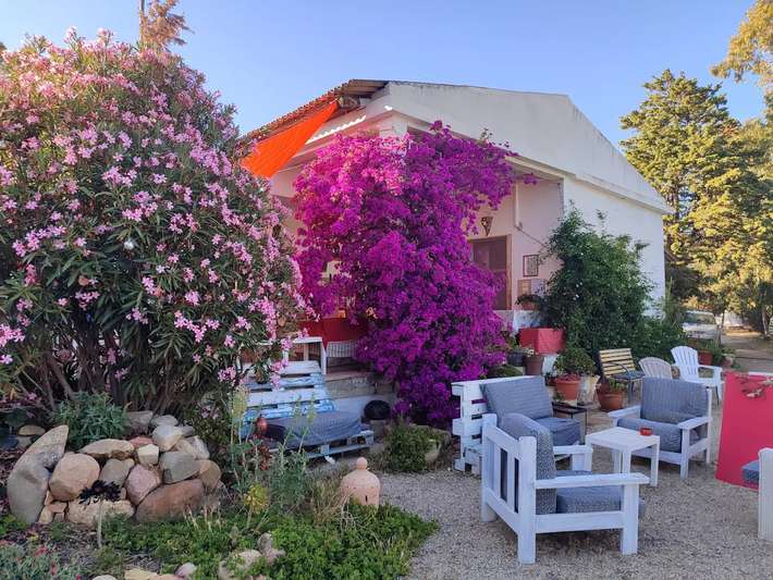 In Our Garden
