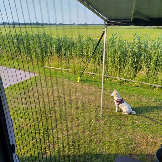 Aggiunta una foto a una posizione