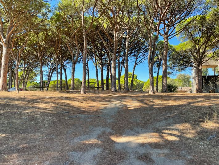 Camping El Molino