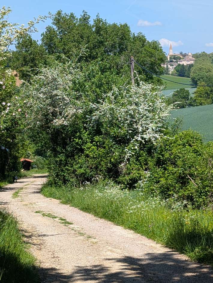 Camping naturiste La Couliche