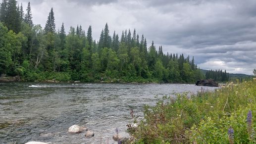 Added a photo to a location