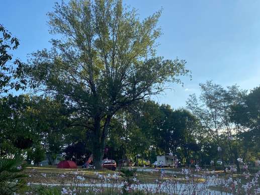 Added a photo to a location