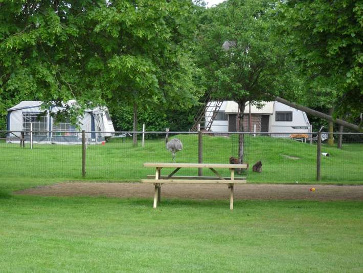Camping de Eendenkooi 