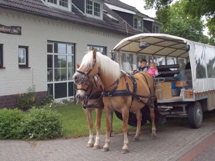 Camping de Eendenkooi