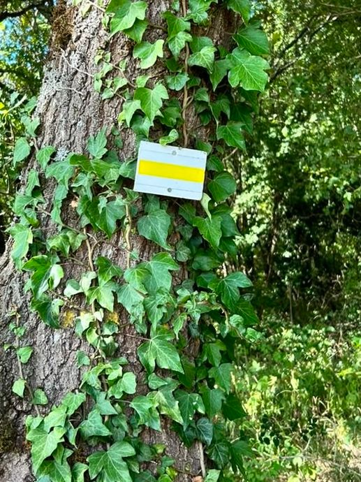 Een foto toegevoegd aan een locatie