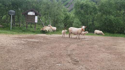 Added a photo to a location