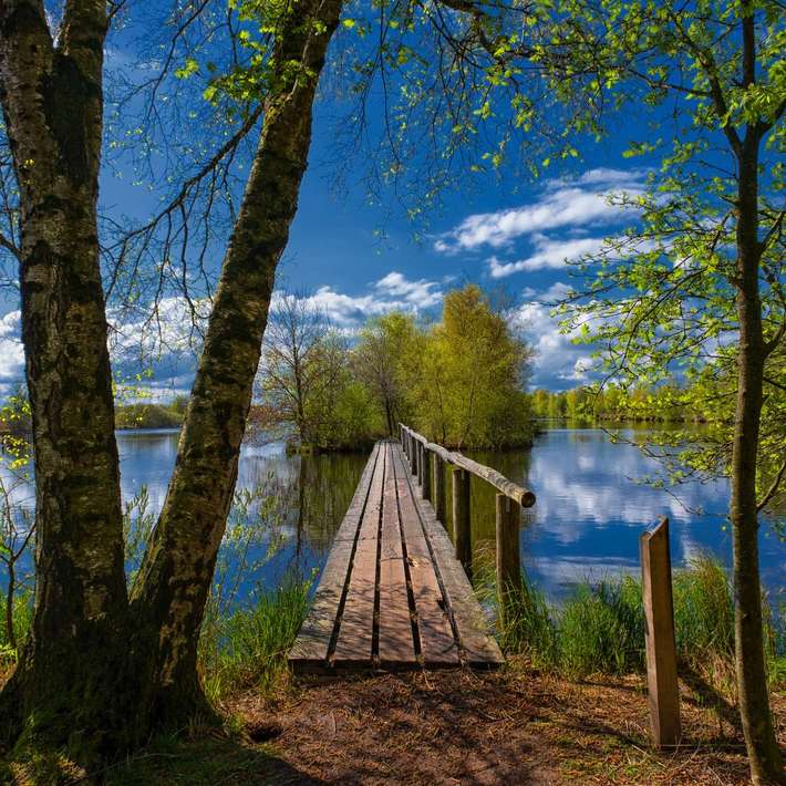 Camperplak It Fjûrlân