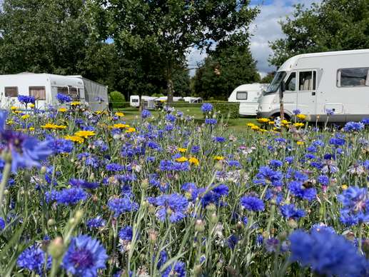 Camping de Deelderij