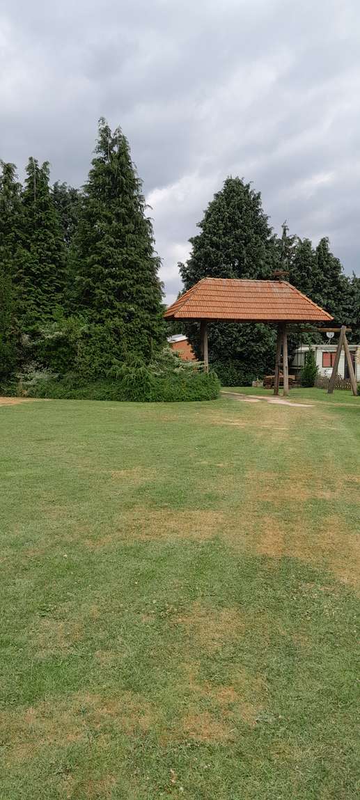 Added a photo to a location