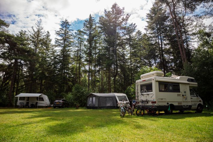 Camping Ommerland