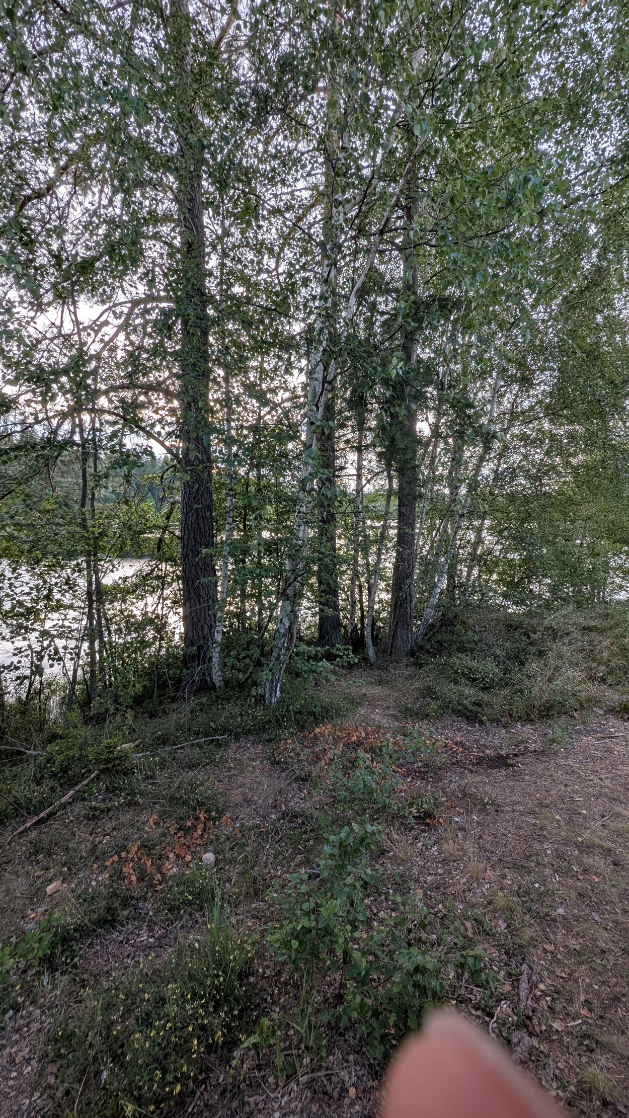 Stellplatz am Hemsjön