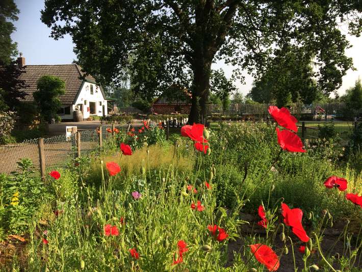 Natuurkampeerterrein het Rhanerveld