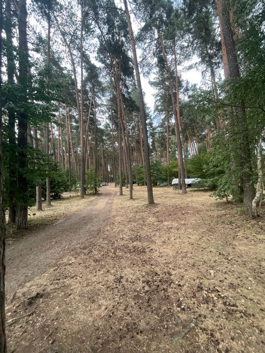 Added a photo to a location