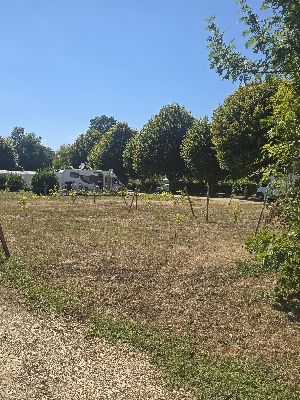 Een foto toegevoegd aan een locatie