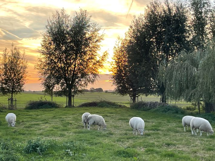 Campererf Achter de Sloot