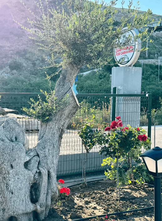 Added a photo to a location