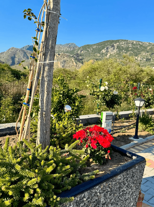 Added a photo to a location