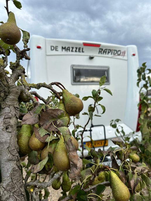 Einem Ort wurde ein Foto hinzugefügt