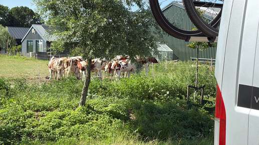 Een foto toegevoegd aan een locatie